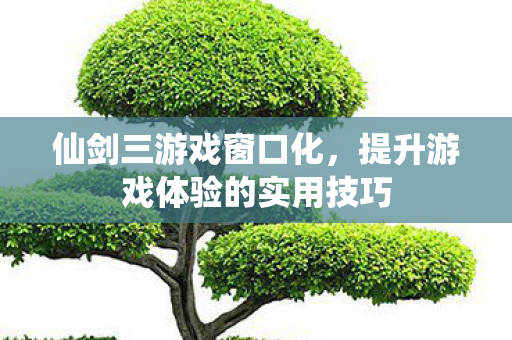 提升游戏体验的实用技巧图片