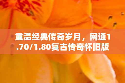 80复古传奇怀旧版图片