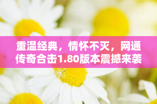 80版本震撼来袭图片