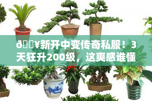 新开中变传奇私服图片
