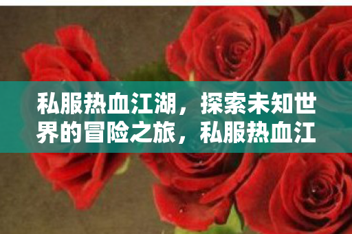 私服热血江湖,探索未知世界的冒险之旅,私服热血江湖,探索未知世界的冒险之旅 私服热血江湖,探索未知世界的冒险之旅,私服热血江湖,探索未知世界的冒险之旅