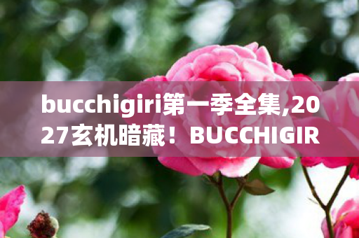 bucchigiri第一季全集,2027玄机暗藏！BUCCHIGIRI的沉默漩涡，究竟吞噬了什么？