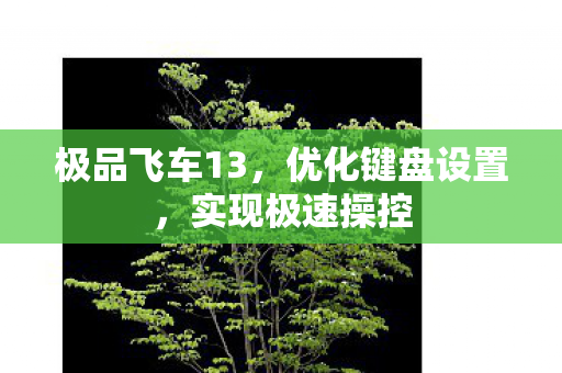 极品飞车13图片
