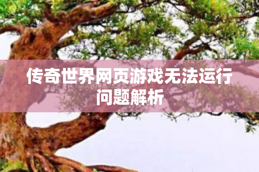 传奇世界网页游戏无法运行问题解析图片