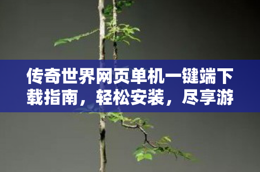 传奇世界网页单机一键端下载指南，轻松安装，尽享游戏乐趣！