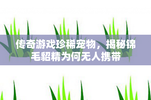 揭秘锦毛貂精为何无人携带图片