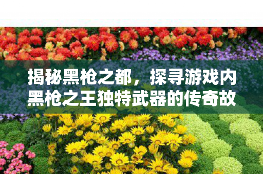 探寻游戏内黑枪之王独特武器的传奇故事图片