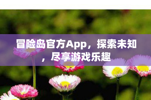 冒险岛官方App图片