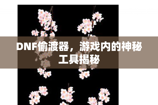 游戏内的神秘工具揭秘图片