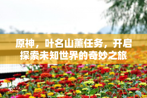 开启探索未知世界的奇妙之旅图片