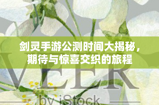 剑灵手游公测时间大揭秘，期待与惊喜交织的旅程