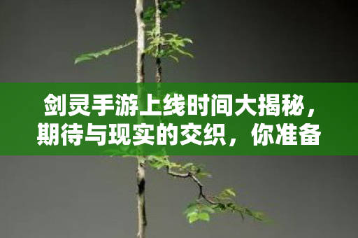 剑灵手游上线时间大揭秘图片