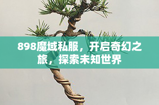 898魔域私服图片