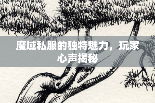 魔域私服的独特魅力图片
