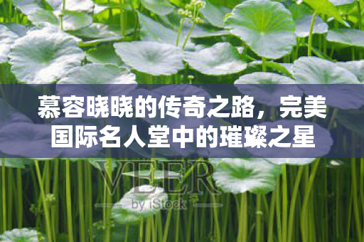 完美国际名人堂中的璀璨之星图片
