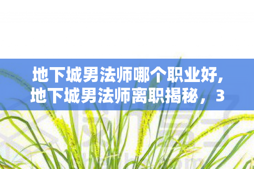 地下城男法师哪个职业好,地下城男法师离职揭秘，300万隐情曝光，真相让人吓一跳！