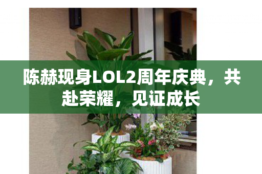 陈赫现身LOL2周年庆典图片