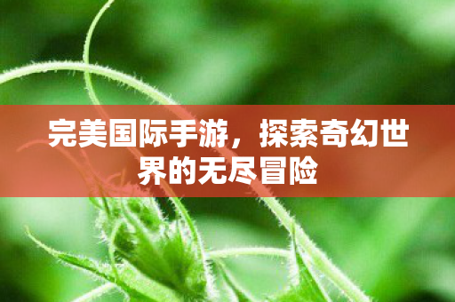 探索奇幻世界的无尽冒险图片
