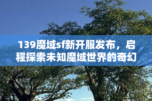 启程探索未知魔域世界的奇幻冒险图片