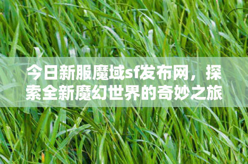 探索全新魔幻世界的奇妙之旅图片