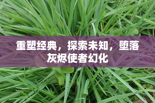 堕落灰烬使者幻化图片