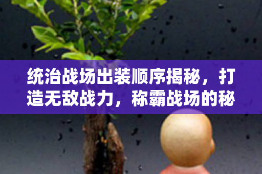 统治战场出装顺序揭秘图片