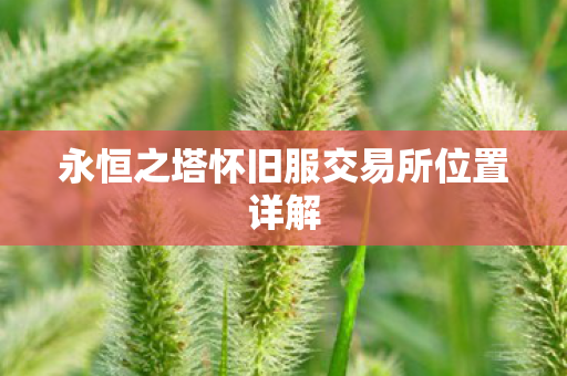 永恒之塔怀旧服交易所位置详解图片