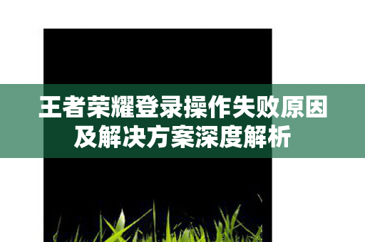 王者荣耀登录操作失败原因及解决方案深度解析图片