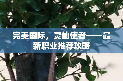 最新职业推荐攻略图片
