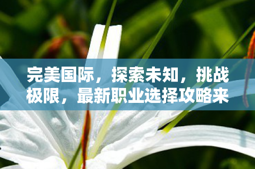 最新职业选择攻略来袭图片
