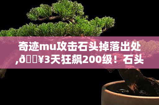 奇迹mu攻击石头掉落出处,🔥3天狂飙200级!石头奇迹mu网让我找回20岁通宵开荒的热血! 奇迹mu攻击石头掉落出处,🔥3天狂飙200级!石头奇迹mu网让我找回20岁通宵开荒的热血!