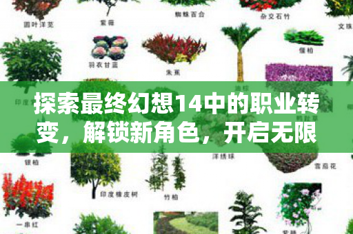 探索最终幻想14中的职业转变图片