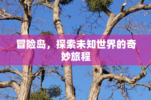 探索未知世界的奇妙旅程图片