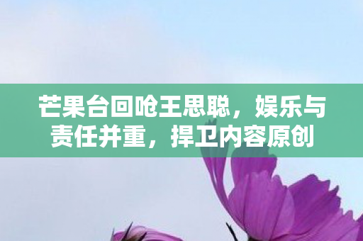 芒果台回呛王思聪图片