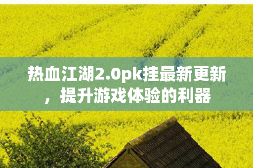 提升游戏体验的利器图片