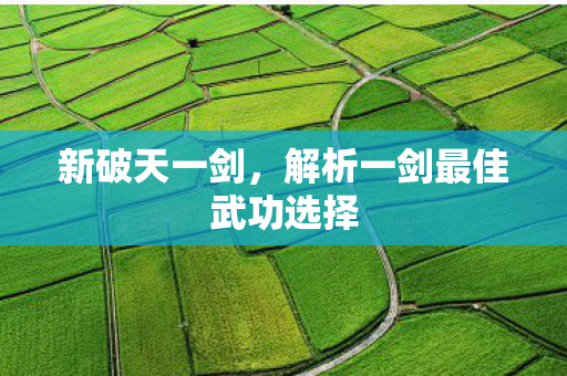 解析一剑最佳武功选择图片