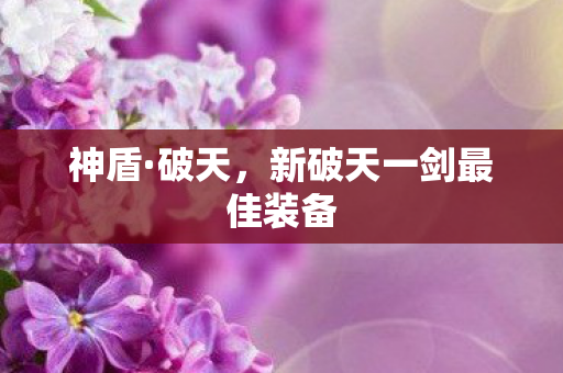 新破天一剑最佳装备图片