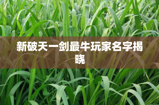 新破天一剑最牛玩家名字揭晓图片