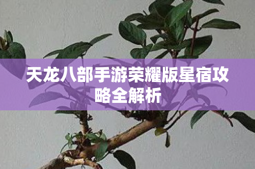 天龙八部手游荣耀版星宿攻略全解析图片