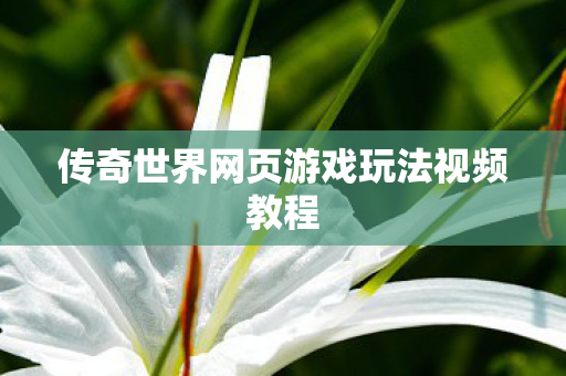 传奇世界网页游戏玩法视频教程图片