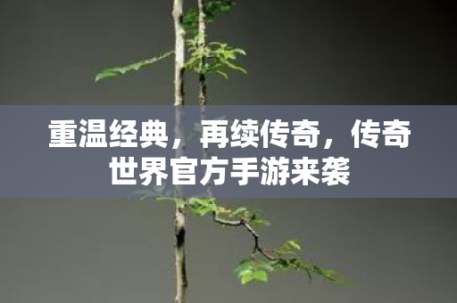 传奇世界官方手游来袭图片