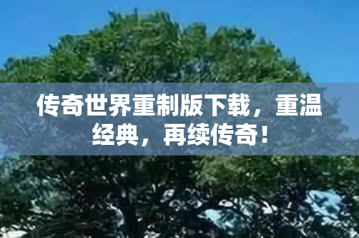 传奇世界重制版下载图片