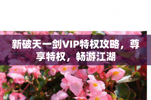 新破天一剑VIP特权攻略图片