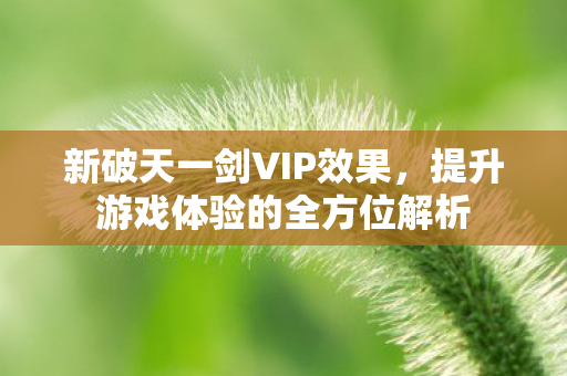 提升游戏体验的全方位解析图片