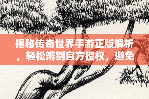 揭秘传奇世界手游正版解析图片