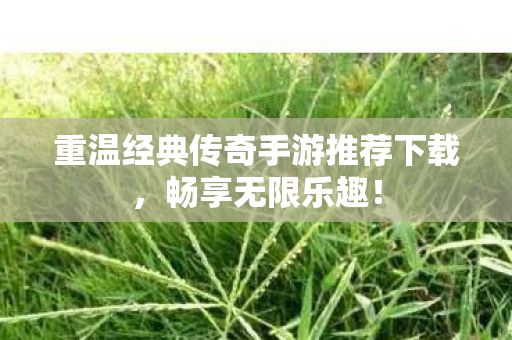重温经典传奇手游推荐下载图片