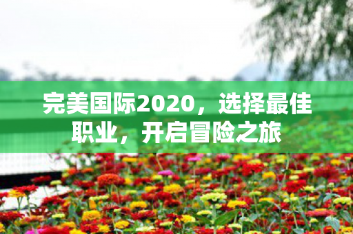 完美国际2020图片