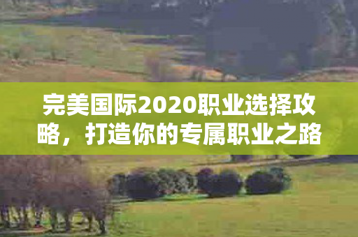 完美国际2020职业选择攻略图片
