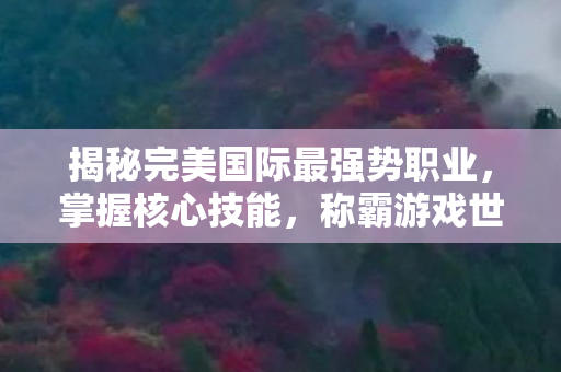 揭秘完美国际最强势职业图片