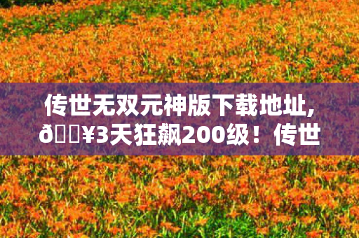 传世无双元神版这波操作让我爽到飞起图片